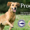 PIENSO VISAN® Proct-Dog Puppy Chicken - Imagen 4