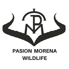 Pasion Morena Wildlife
