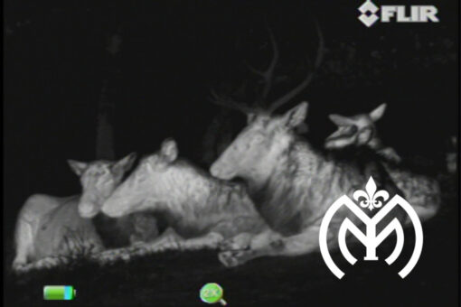 Monocular Térmico FLIR® SCOUT III - Imagen 4