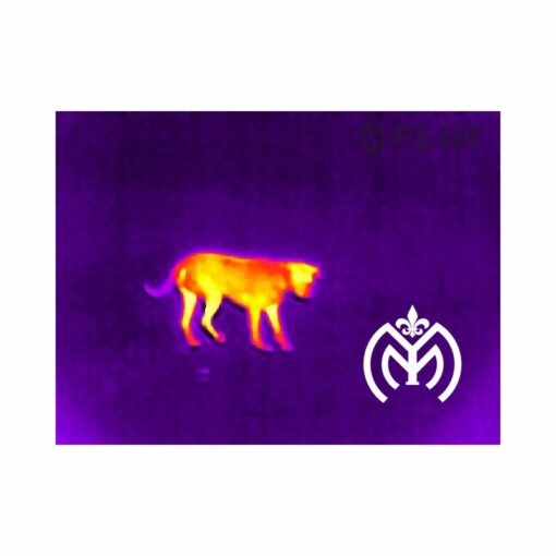 Visor Térmico FLIR® SCOUT TK - Imagen 11