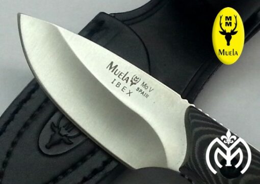 Cuchillo MUELA® Ibex 8M Micarta - Imagen 3