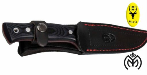 Cuchillo MUELA® Pointer M12 Micarta - Imagen 5