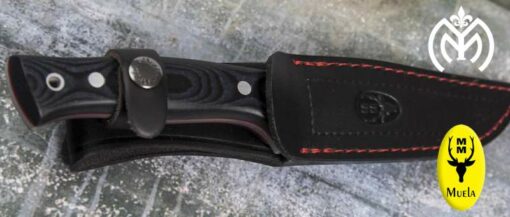Cuchillo MUELA® Pointer M12 Micarta - Imagen 3
