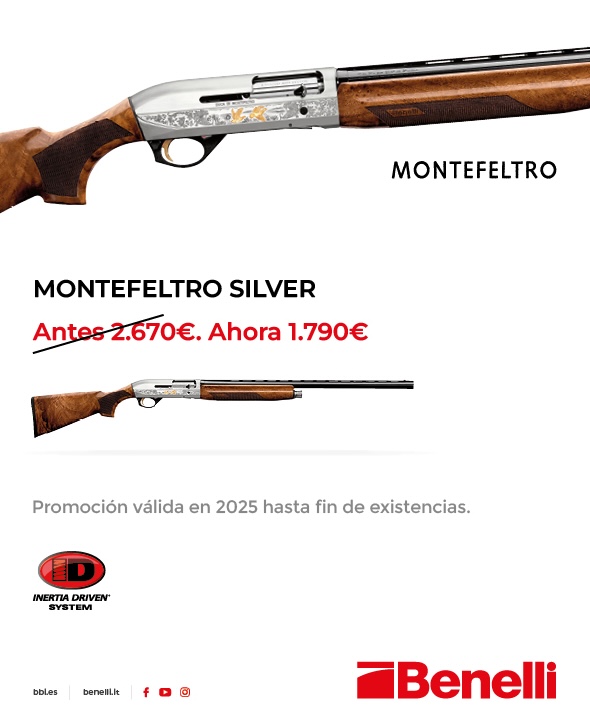 BENELLI MONTEFELTRO SILVER - Imagen 2